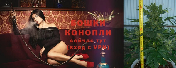 скорость Гусев