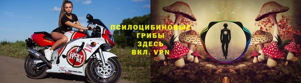 прущие крисы Алексеевка