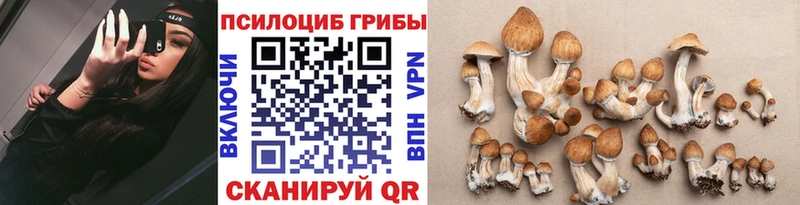 Галлюциногенные грибы Magic Shrooms  Навашино 